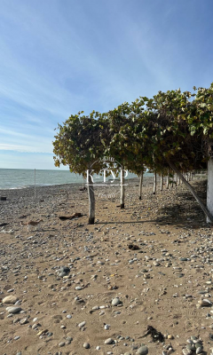 Фото тура
